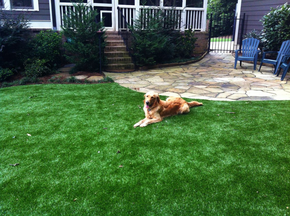 Front Yard Makeovers: Pairing Artificial Turf with Desert-Friendly Landscaping