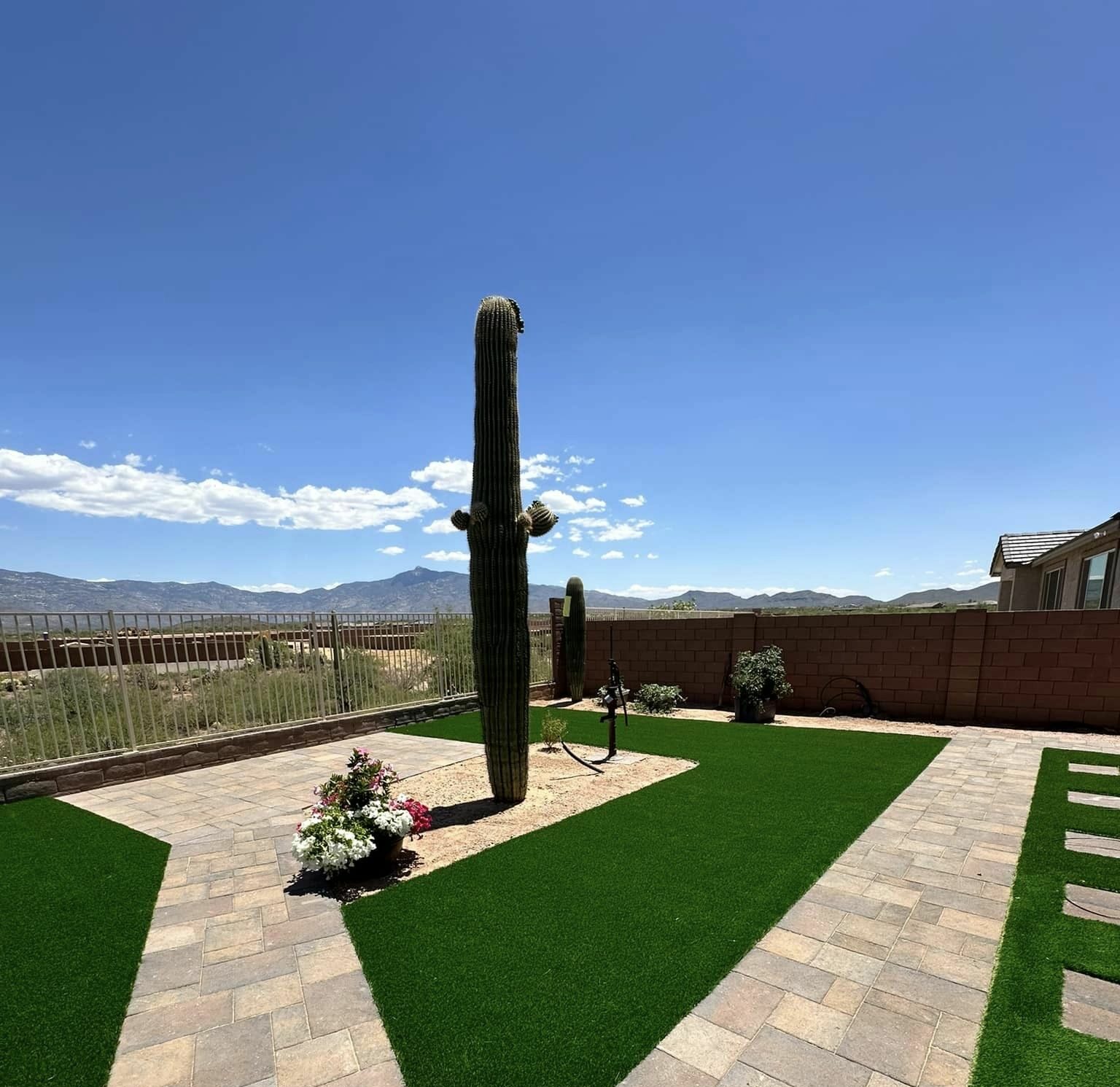 Top 5 Summer Turf Care Tips for the Phoenix Heat