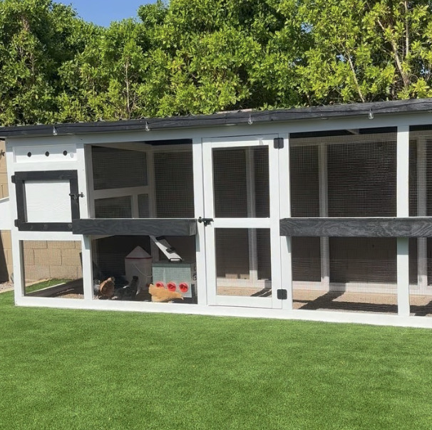 Turf and Pavers for Chicken Coops: Yes, They Can Coexist!