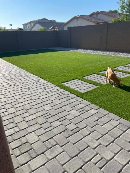 Pet-friendly artificial turf for Arizona dog owners by Green Forever Arizona
