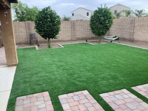 Clean turf lawn with citrus trees and stepping stones